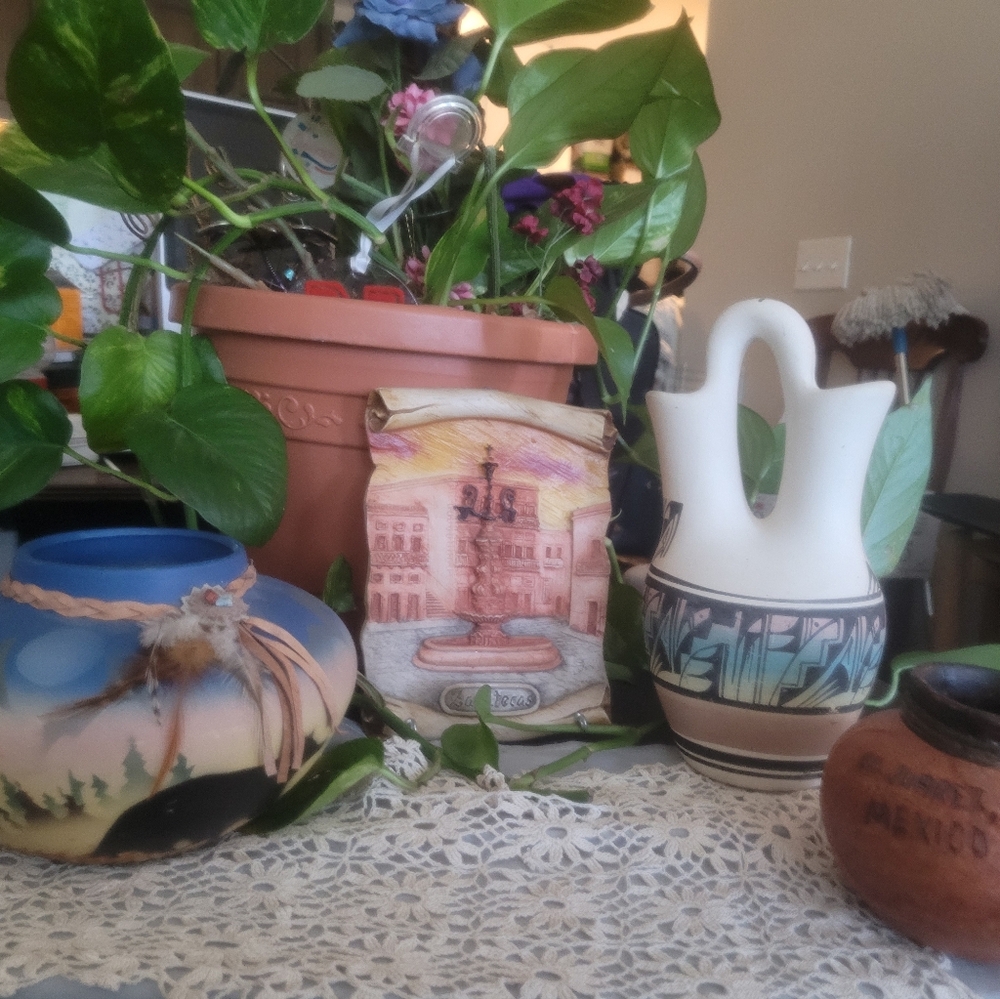 Indigenous Collection